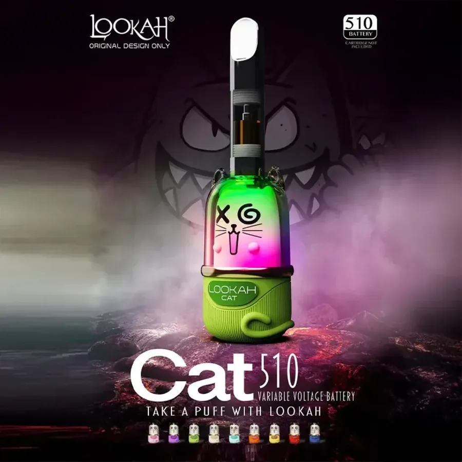 BATERIA GATO, fotografía de referencia